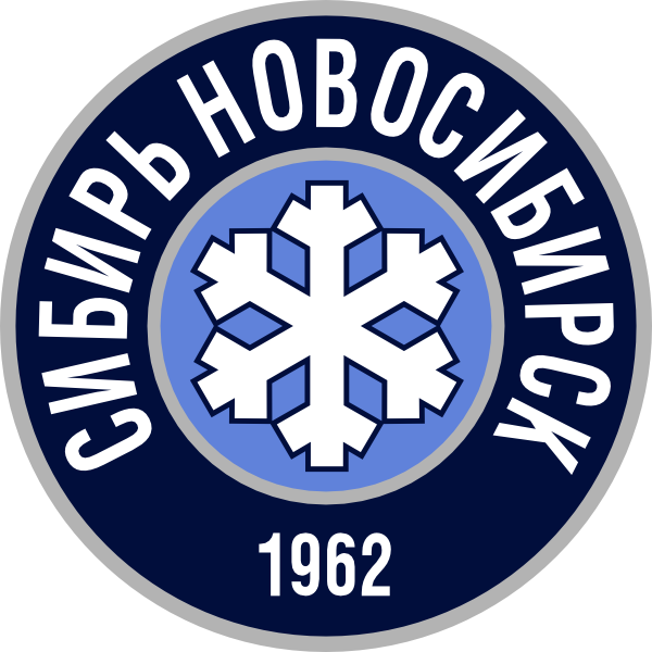HC Sibir Novosibirsk 2013 Alternate logo iron on transfers for T-shirts